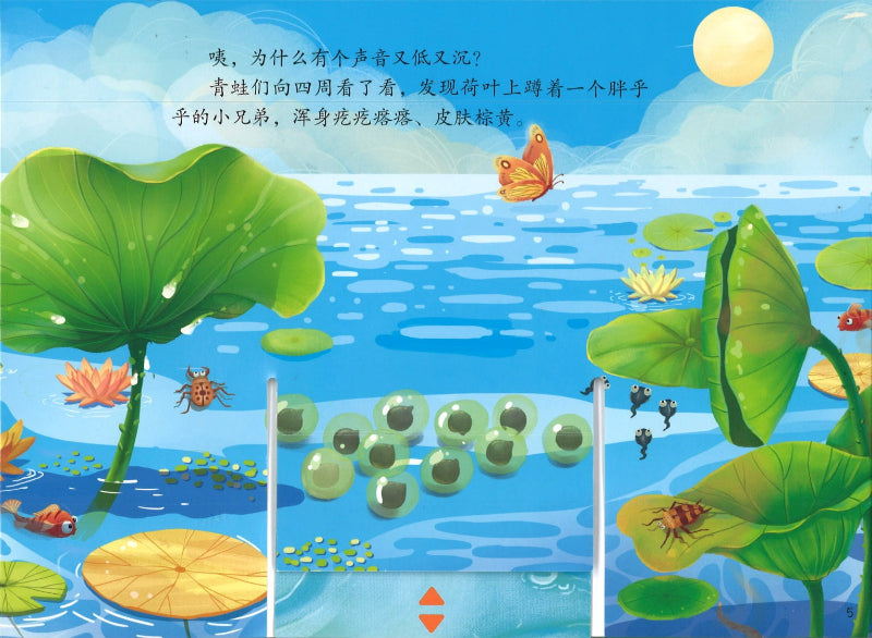 不一样的青蛙和蟾蜍  9787115570420 | Singapore Chinese Books | Maha Yu Yi Pte Ltd