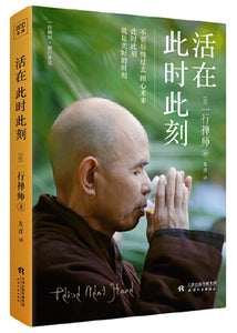 9787201128580 活在此时此刻 | Singapore Chinese Books