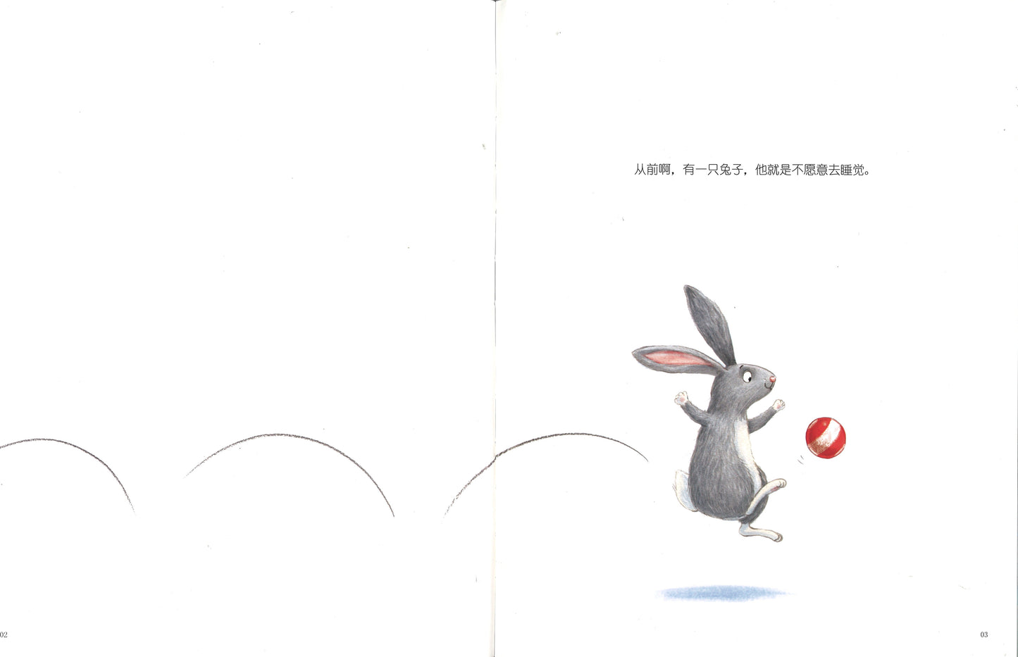 赶走黑夜的小兔子 The Rabbit, the Dark and the Biscuit Tin 9787201161143 | Singapore Chinese Books | Maha Yu Yi Pte Ltd