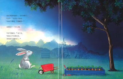 赶走黑夜的小兔子 The Rabbit, the Dark and the Biscuit Tin 9787201161143 | Singapore Chinese Books | Maha Yu Yi Pte Ltd