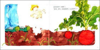 9787504190079 拔萝卜 The Giant Turnip  | Singapore Chinese Books