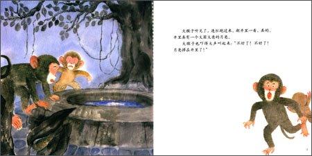 9787504194510 猴子捞月亮 | Singapore Chinese Books