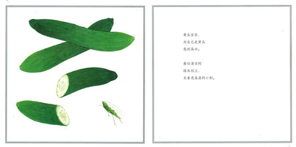 好多好多蔬菜  9787505634107 | Singapore Chinese Books | Maha Yu Yi Pte Ltd