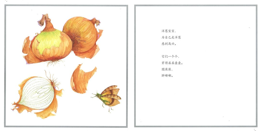 好多好多蔬菜  9787505634107 | Singapore Chinese Books | Maha Yu Yi Pte Ltd