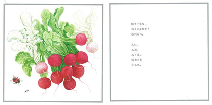好多好多蔬菜  9787505634107 | Singapore Chinese Books | Maha Yu Yi Pte Ltd