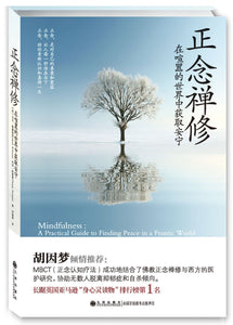 正念禅修-在喧嚣的世界中获取安宁  Mindfulness: Finding Peace in a Frantic World 9787510819513 | Singapore Chinese Books | Maha Yu Yi Pte Ltd