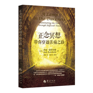 正念冥想带你穿越苦痛之路  9787522200989 | Singapore Chinese Books | Maha Yu Yi Pte Ltd
