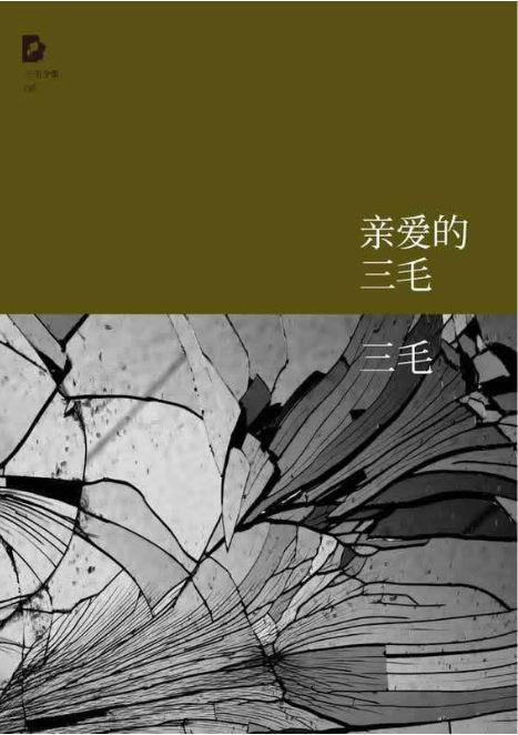 9787530211014 三毛全集08－亲爱的三毛