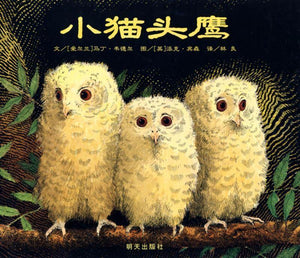 9787533258788 小猫头鹰 Owl Babies | Singapore Chinese Books