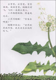 9787533263119 小羊和蝴蝶The Lamb and the Butterfly | Singapore Chinese Books