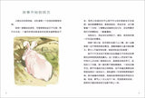 9787533266684 若伯特的孩子 Rabbit's Kid | Singapore Chinese Books