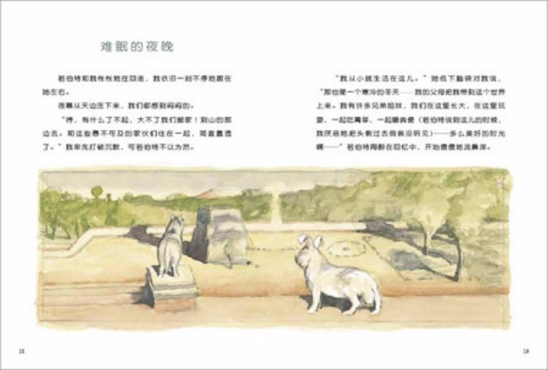 9787533266684 若伯特的孩子 Rabbit's Kid | Singapore Chinese Books