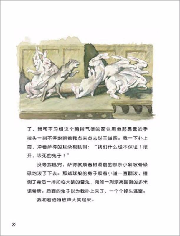 9787533266684 若伯特的孩子 Rabbit's Kid | Singapore Chinese Books