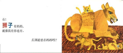 9787533269463 袋鼠也有妈妈吗 Does a kangaroo have a mother, too? | Singapore Chinese Books