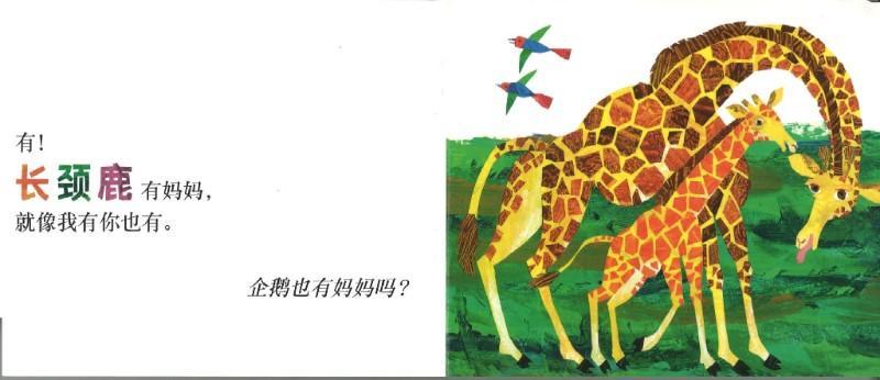 9787533269463 袋鼠也有妈妈吗 Does a kangaroo have a mother, too? | Singapore Chinese Books