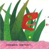 9787533275198 变色龙捉迷藏 Chameleon | Singapore Chinese Books