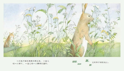 9787533276393 野地上的花园 Planting The Wild Garden | Singapore Chinese Books