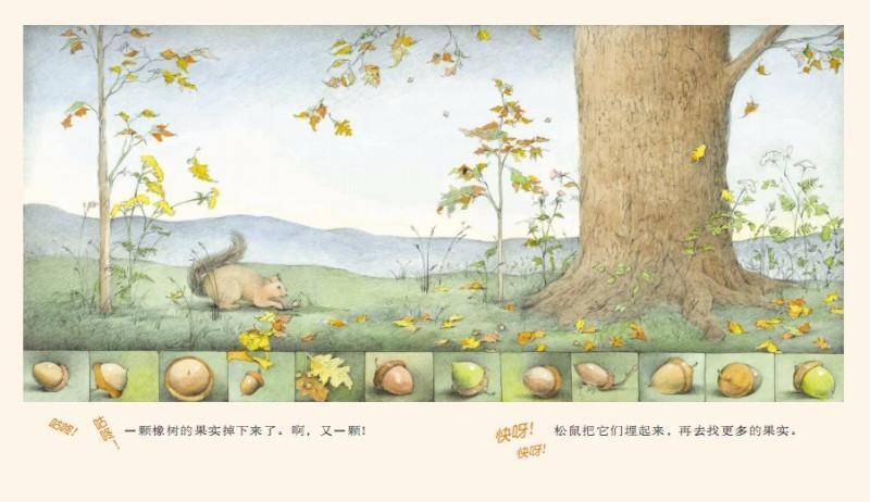 9787533276393 野地上的花园 Planting The Wild Garden | Singapore Chinese Books