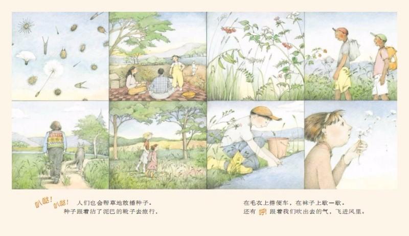 9787533276393 野地上的花园 Planting The Wild Garden | Singapore Chinese Books