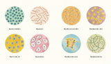 9787533281656 微生物-看不见的魔术师 Tiny Creatures: The World of Microbes | Singapore Chinese Books