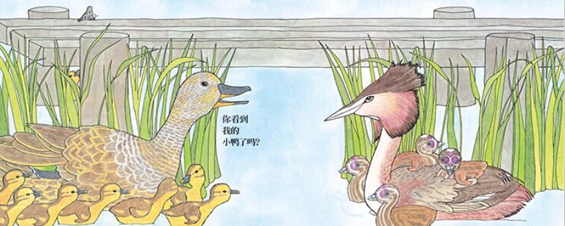 9787533281694 你看到我的小鸭了吗? Have You Seen My Duckling? | Singapore Chinese Books