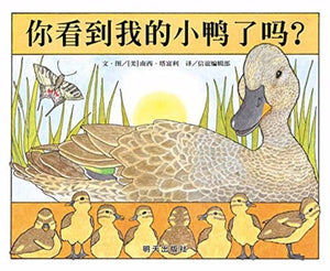 9787533281694 你看到我的小鸭了吗? Have You Seen My Duckling? | Singapore Chinese Books