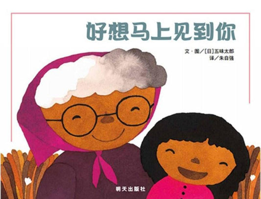 9787533284350 好想马上见到你  | Singapore Chinese Books