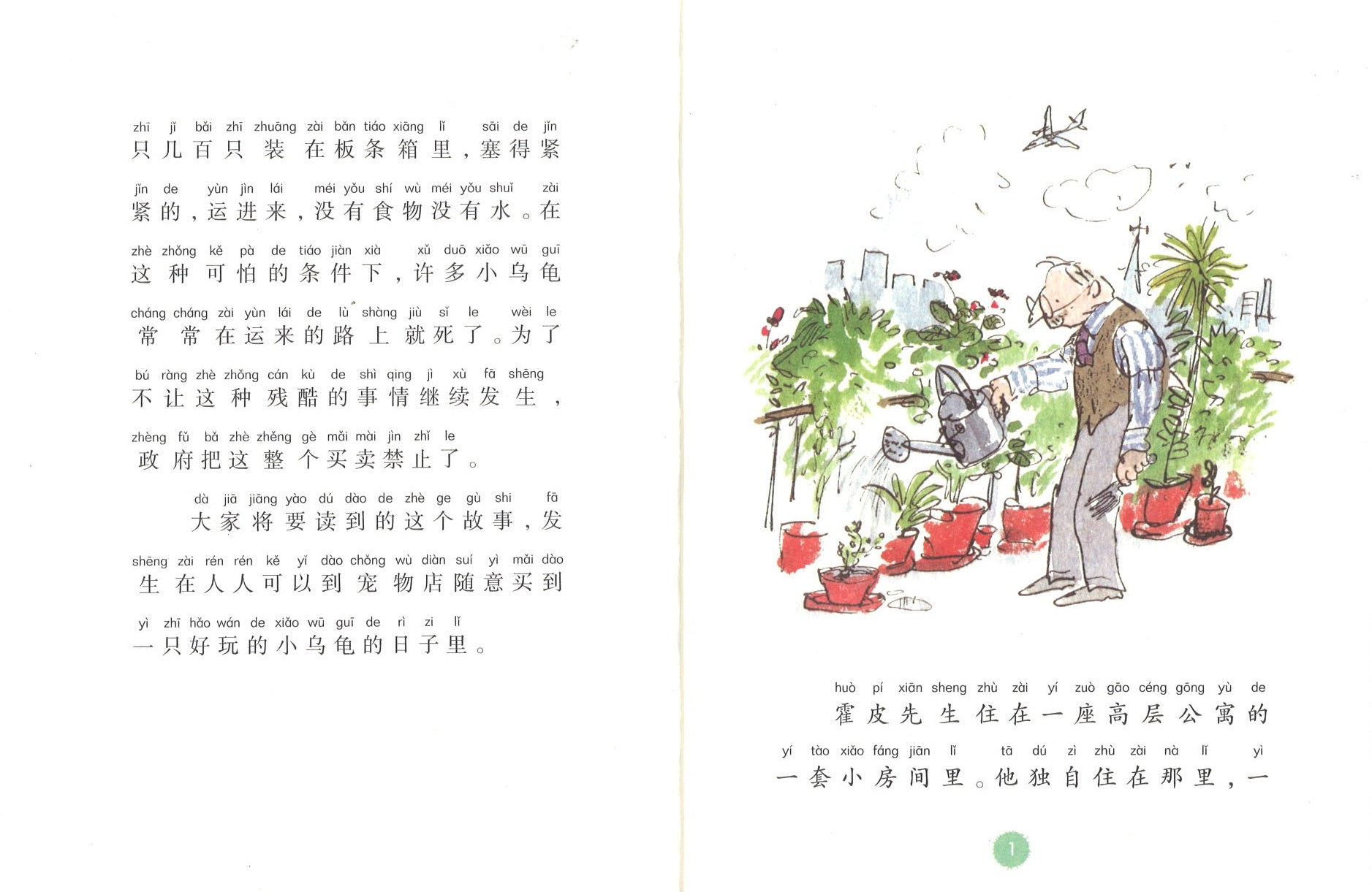 小乌龟是怎样变大的（拼音） Esio Trot 9787533299279 | Singapore Chinese Books | Maha Yu Yi Pte Ltd