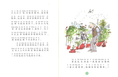 小乌龟是怎样变大的（拼音） Esio Trot 9787533299279 | Singapore Chinese Books | Maha Yu Yi Pte Ltd