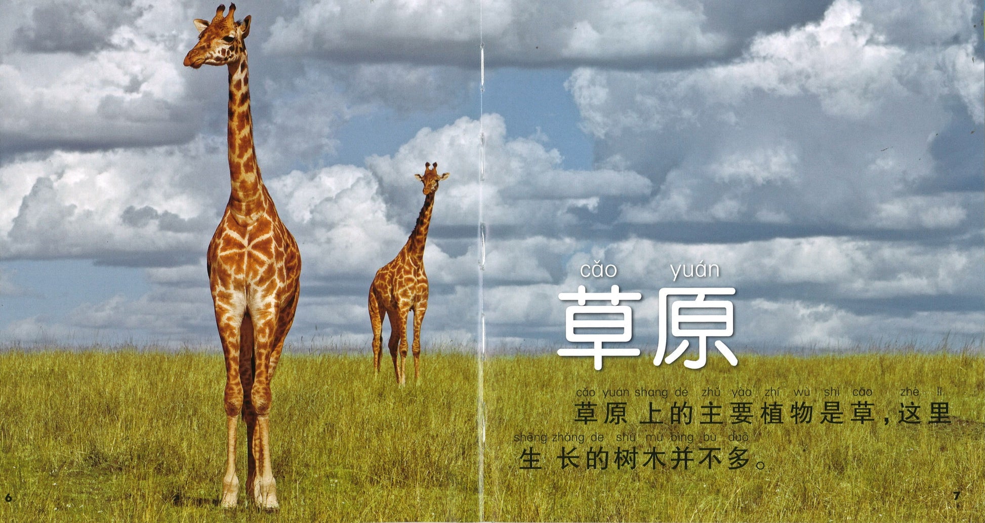 我的第一本美国国家地理动物百科（拼音）  9787534276477 | Singapore Chinese Books | Maha Yu Yi Pte Ltd
