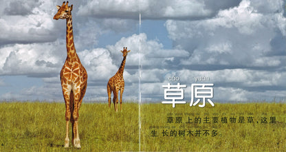 我的第一本美国国家地理动物百科（拼音）  9787534276477 | Singapore Chinese Books | Maha Yu Yi Pte Ltd