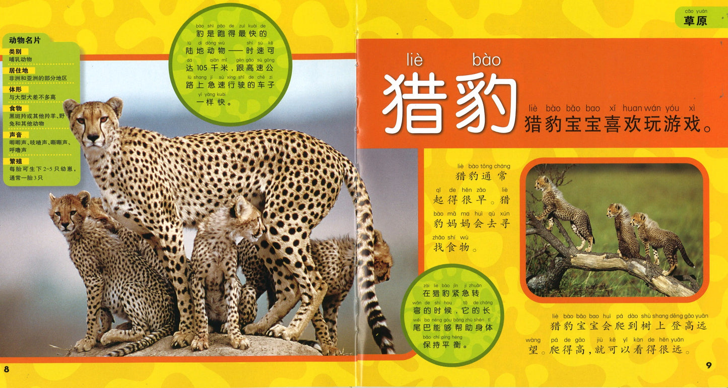 我的第一本美国国家地理动物百科（拼音）  9787534276477 | Singapore Chinese Books | Maha Yu Yi Pte Ltd