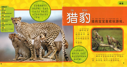 我的第一本美国国家地理动物百科（拼音）  9787534276477 | Singapore Chinese Books | Maha Yu Yi Pte Ltd