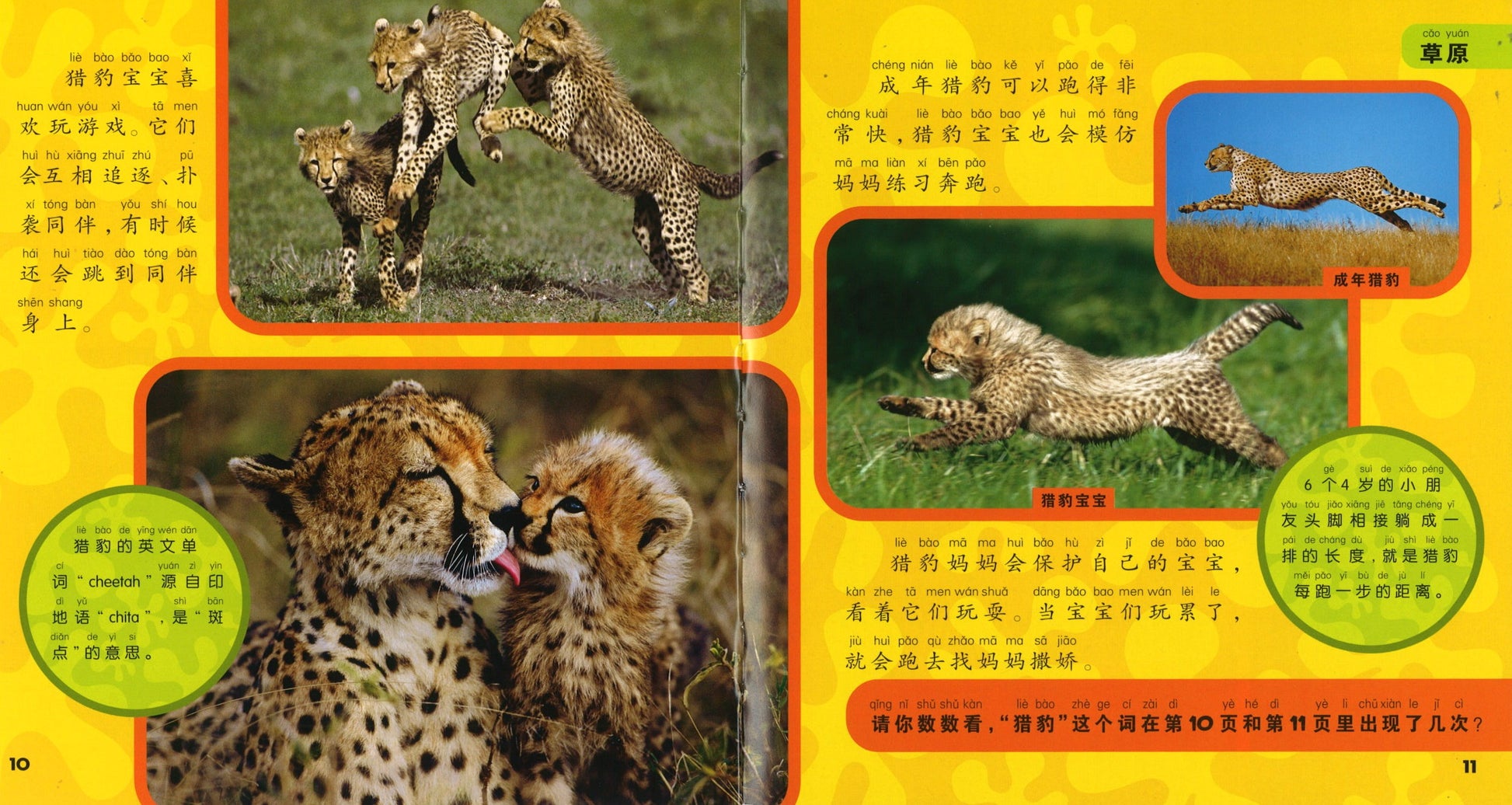 我的第一本美国国家地理动物百科（拼音）  9787534276477 | Singapore Chinese Books | Maha Yu Yi Pte Ltd