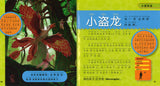 我的第一本美国国家地理恐龙百科（拼音）  9787534276491 | Singapore Chinese Books | Maha Yu Yi Pte Ltd