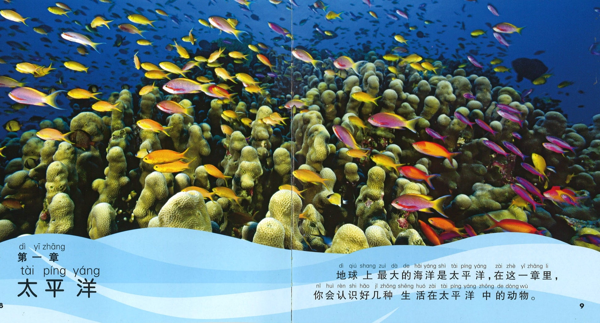 我的第一本美国国家地理海洋百科（拼音）  9787534288401 | Singapore Chinese Books | Maha Yu Yi Pte Ltd
