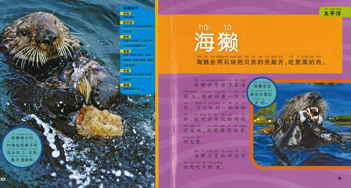 我的第一本美国国家地理海洋百科（拼音）  9787534288401 | Singapore Chinese Books | Maha Yu Yi Pte Ltd
