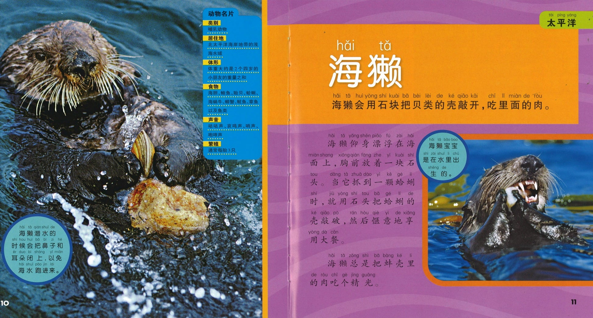 我的第一本美国国家地理海洋百科（拼音）  9787534288401 | Singapore Chinese Books | Maha Yu Yi Pte Ltd