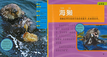 我的第一本美国国家地理海洋百科（拼音）  9787534288401 | Singapore Chinese Books | Maha Yu Yi Pte Ltd
