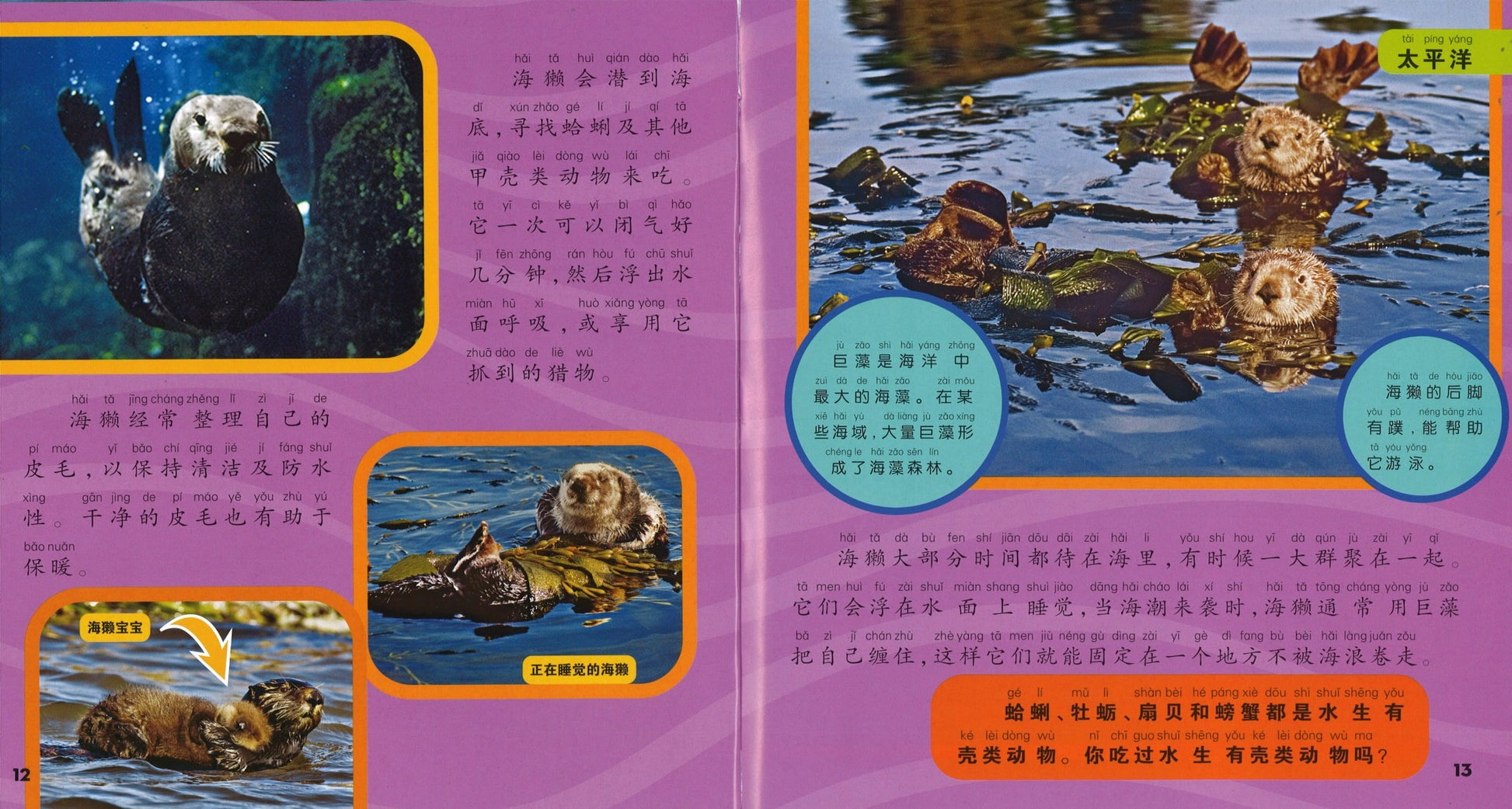 我的第一本美国国家地理海洋百科（拼音）  9787534288401 | Singapore Chinese Books | Maha Yu Yi Pte Ltd