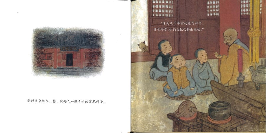 安的种子（丰子恺儿童图画书奖”优秀儿童图画书奖”）  9787535062888 | Singapore Chinese Books | Maha Yu Yi Pte Ltd