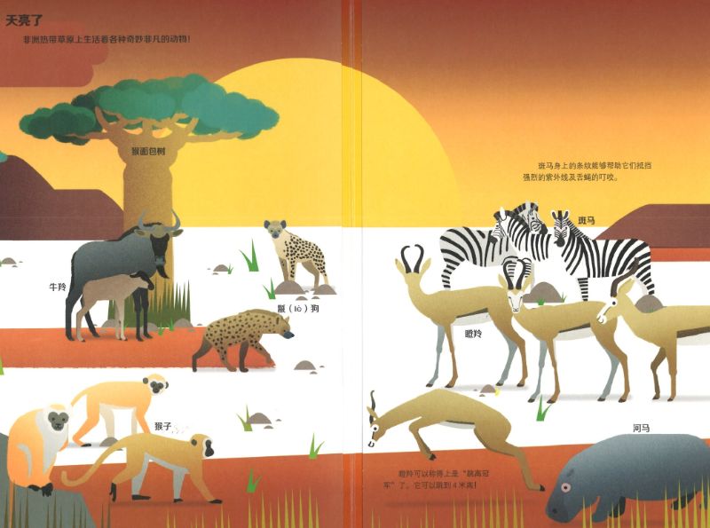 有趣的野生动物 Savanna Animals