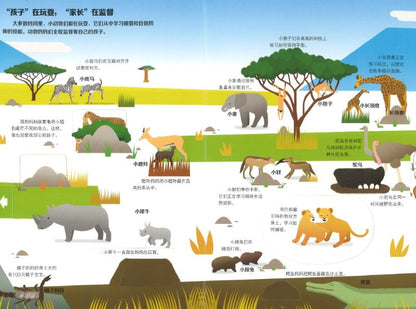 有趣的野生动物 Savanna Animals