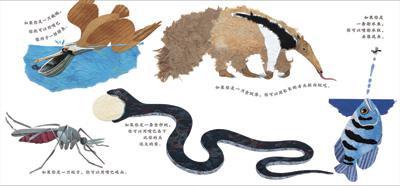 9787543471399 这样的尾巴可以做什么 (2004 Caldecott Honor Book)What Do You Do With A Tail Like This | Singapore Chinese Books