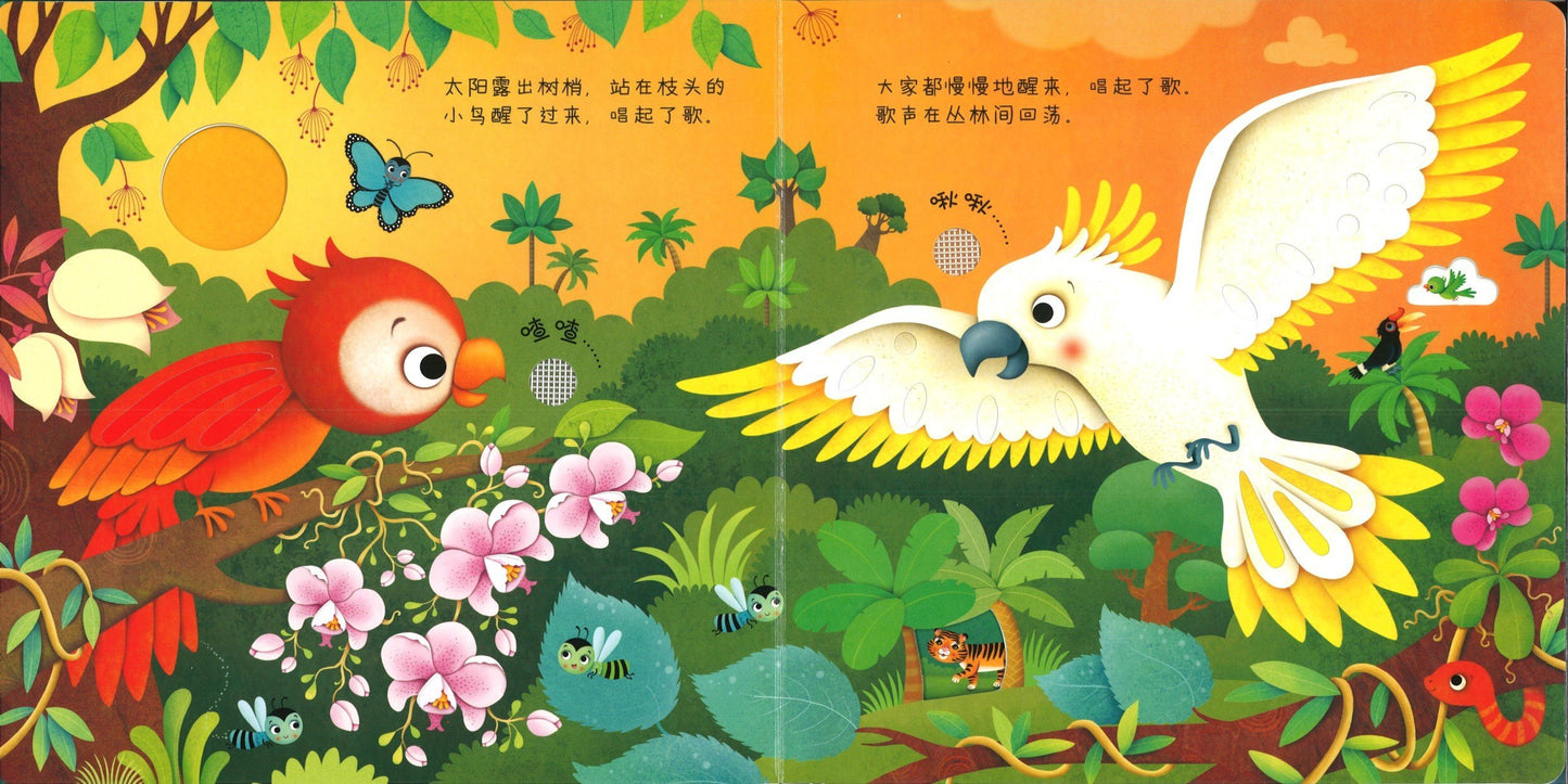 9787544848558 丛林里边谁在叫 Usborne Touchy-feely Sound Books Jungle Sounds | Singapore Chinese Books