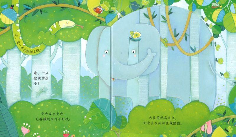 9787544857208 雨林 Peep Inside the Jungle | Singapore Chinese Books