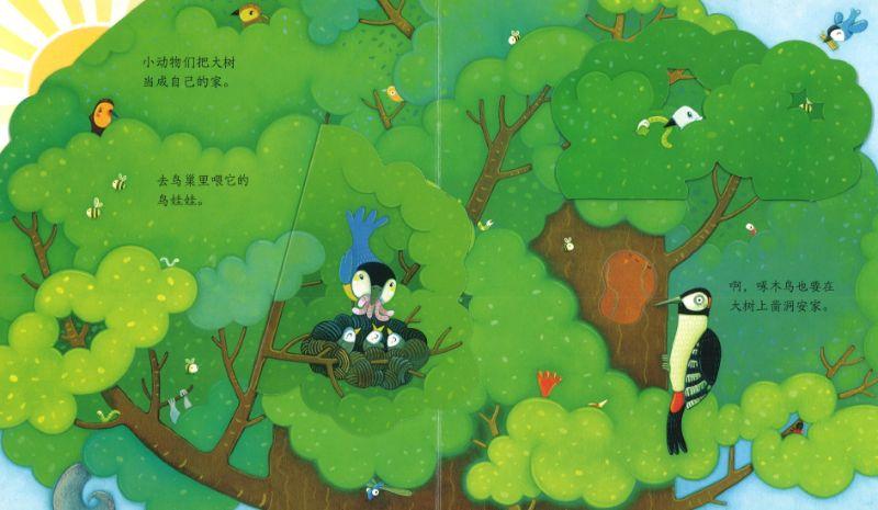 9787544857215 树木 Peep Inside a Tree | Singapore Chinese Books