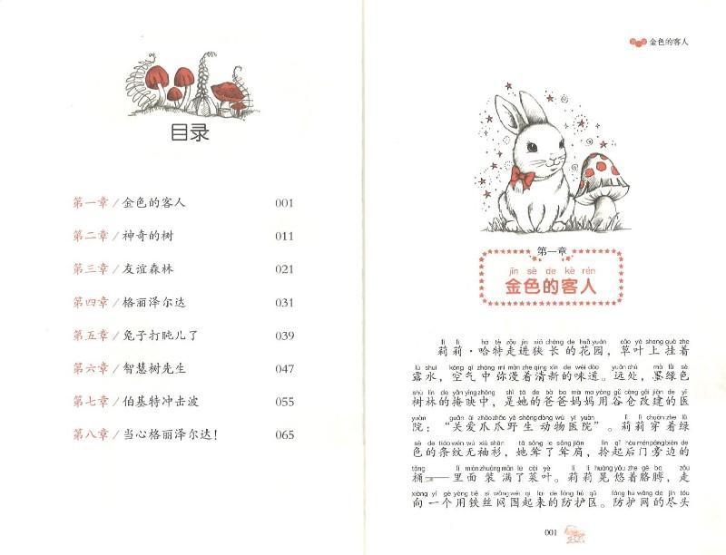 9787545523584 神奇的动物朋友.1 长胡子露西迷路了（拼音）Lucy Longwhiskers Gets Lost | Singapore Chinese Books