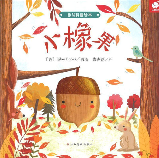 9787549378517 小橡果 Little Acorn | Singapore Chinese Books