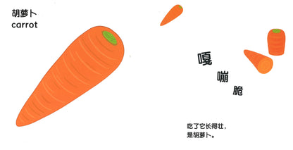 蔬菜蔬菜捉迷藏  9787556852239 | Singapore Chinese Books | Maha Yu Yi Pte Ltd